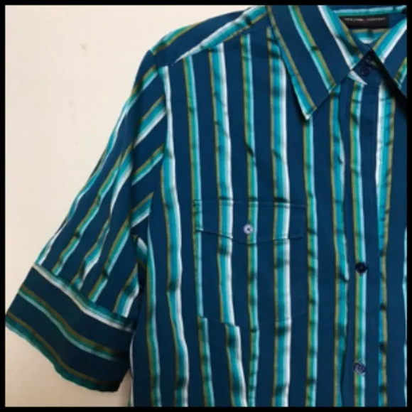 Feminine Ribbon Like Stripe Button Front Blouse Some Stretch Size 1X - Picture 2 of 4